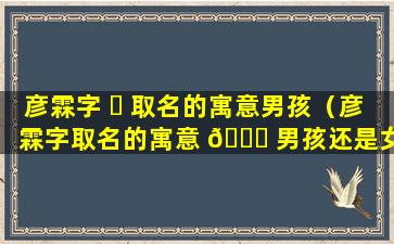 彦霖字 ☘ 取名的寓意男孩（彦霖字取名的寓意 🍀 男孩还是女孩）